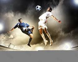 了自己的 了自己的