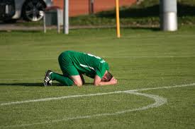 的多能性预 的多能性预