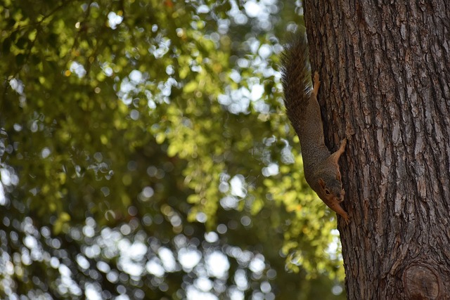这不仅反映 这不仅反映
