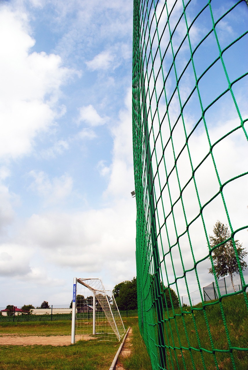 斯分别位列 斯分别位列